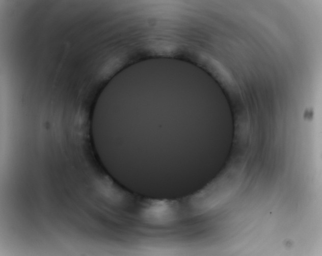 X0000103130083200809191951