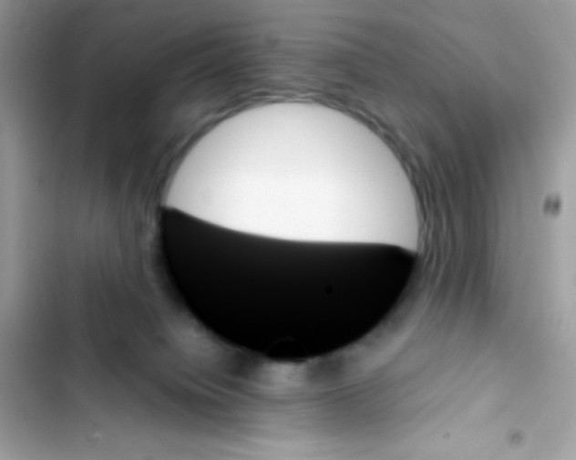 X0000103130084200809191951