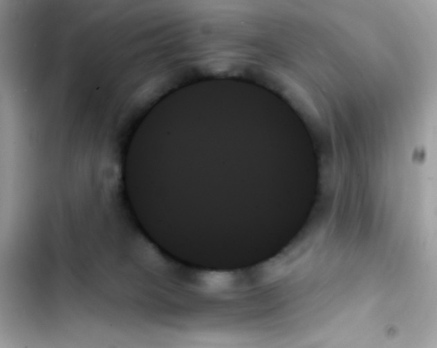 X0000103130085200809191951