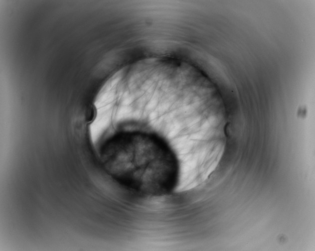 X0000103130086200809191951