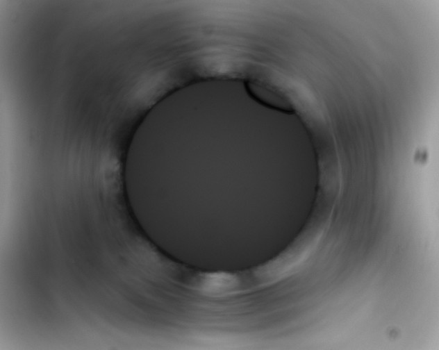X0000103130087200809191951