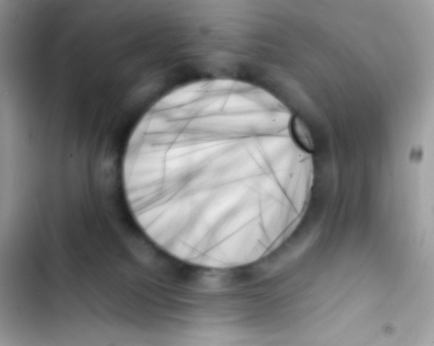 X0000103130088200809191951