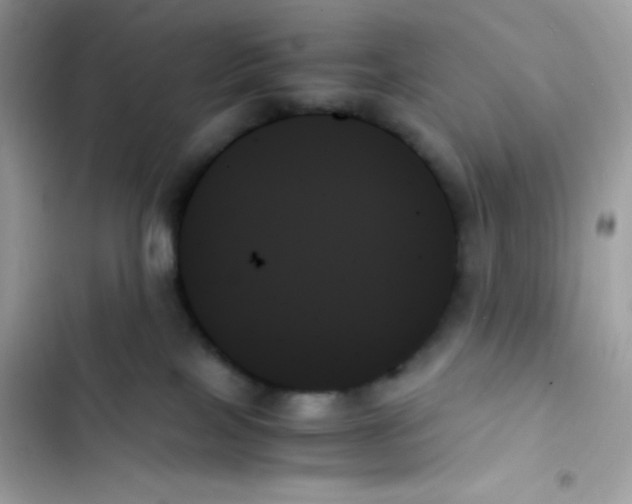 X0000103130089200809191951