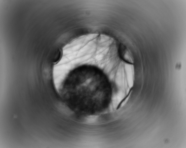 X0000103130090200809191951
