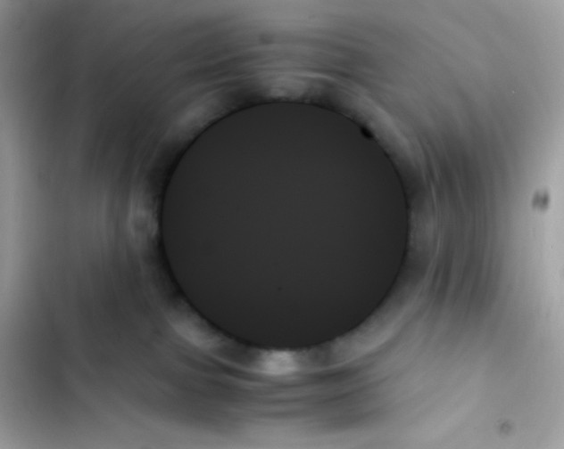 X0000103130091200809191951