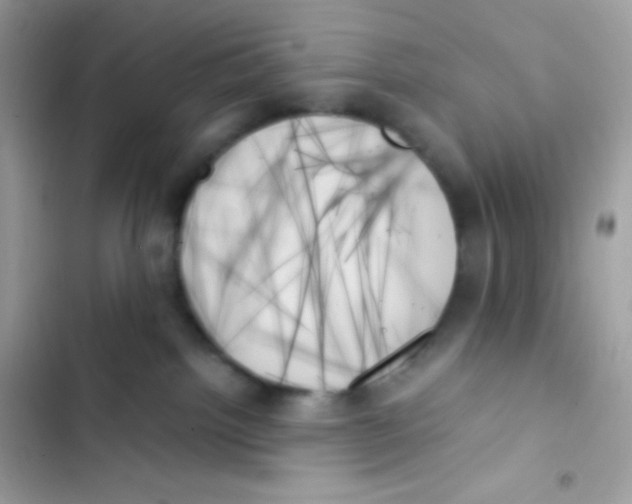 X0000103130092200809191951