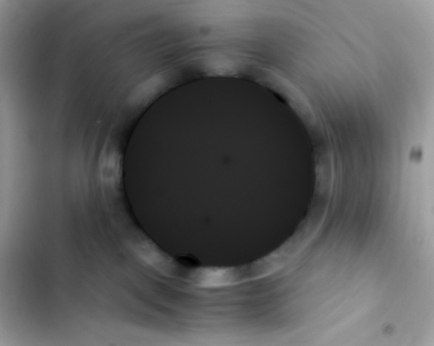 X0000103130093200809191951
