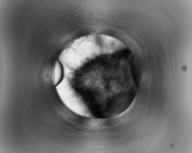 X0000103130094200809191951
