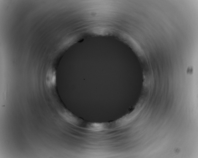X0000103130095200809191951