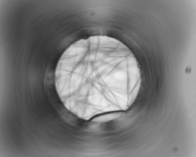 X0000103130096200809191951