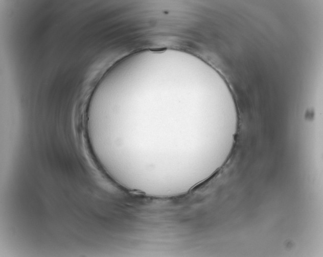 X0000103130097200809191951