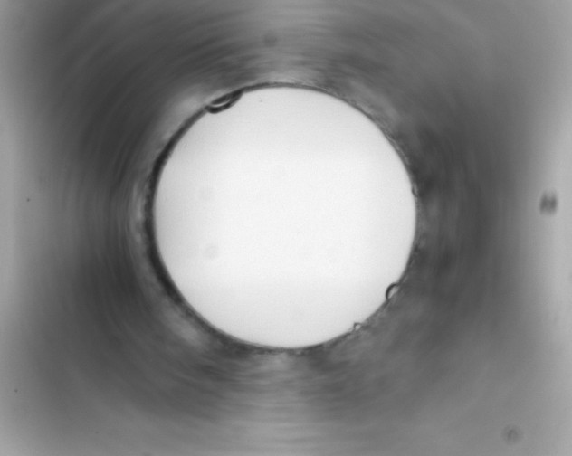 X0000103130098200809191951