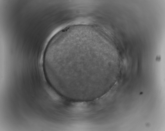 X0000103130100200809191951