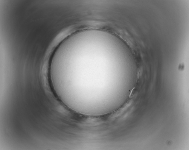 X0000103130101200809191950