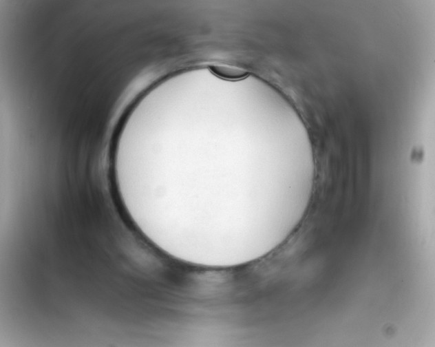 X0000103130102200809191950