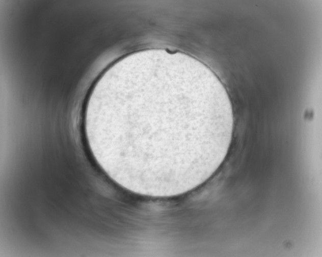X0000103130103200809191950