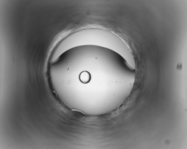 X0000103130104200809191950