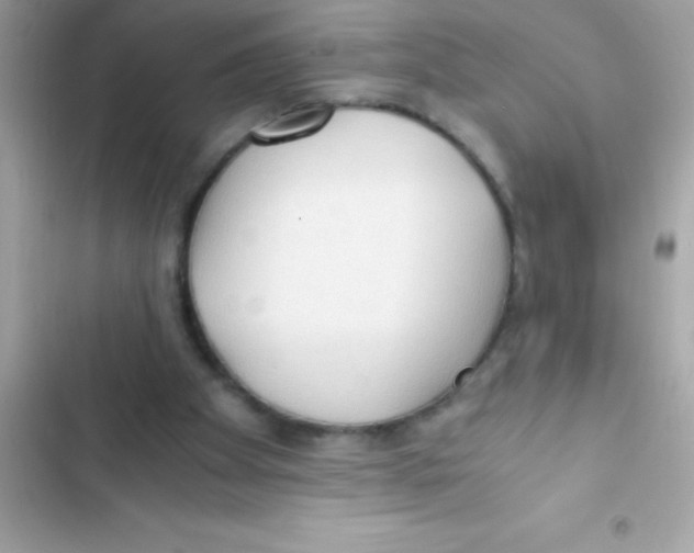 X0000103130105200809191950