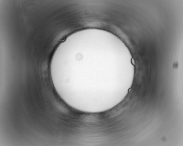 X0000103130106200809191950