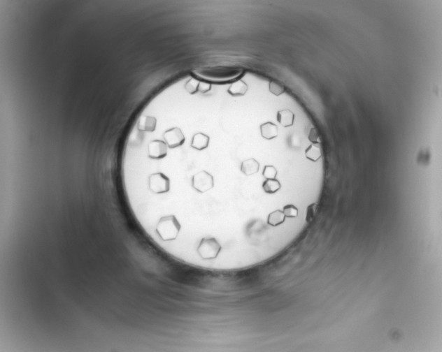 X0000103130107200809191950