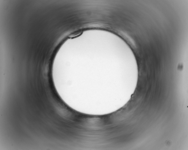 X0000103130108200809191950