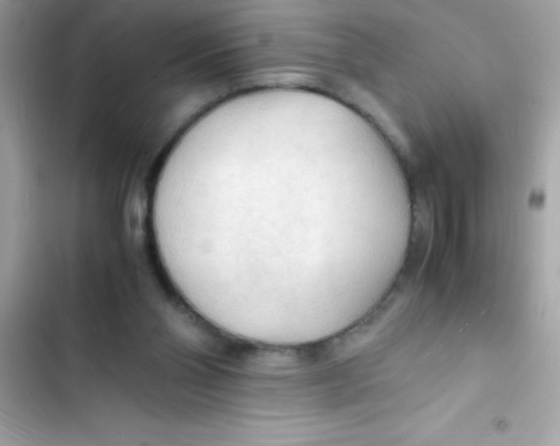X0000103130110200809191950