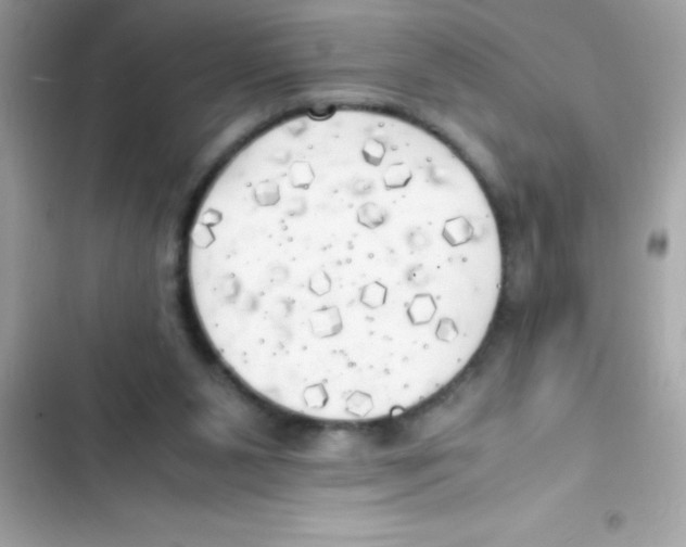 X0000103130111200809191950
