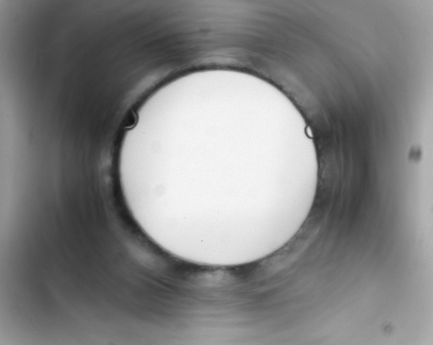 X0000103130112200809191950