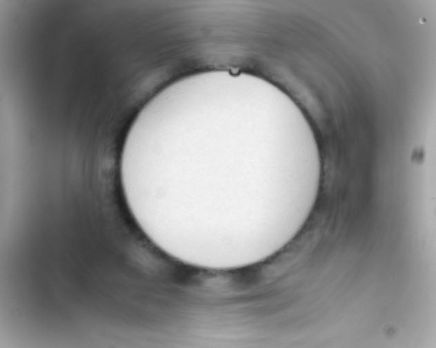 X0000103130113200809191950