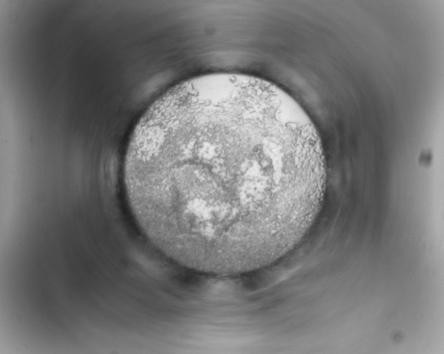 X0000103130115200809191950