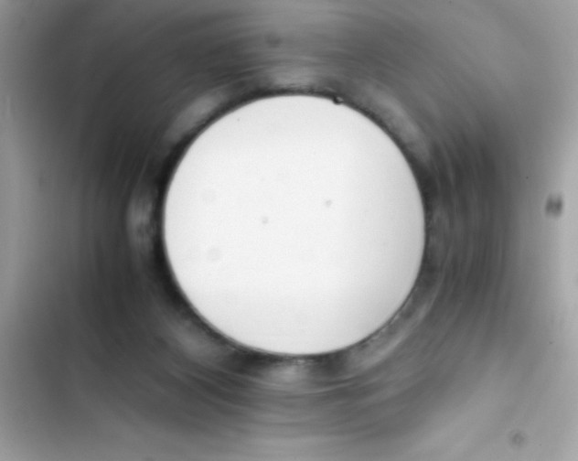 X0000103130116200809191950