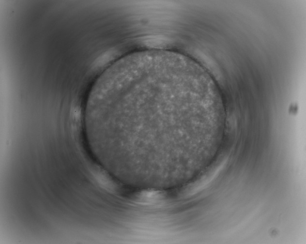 X0000103130117200809191950