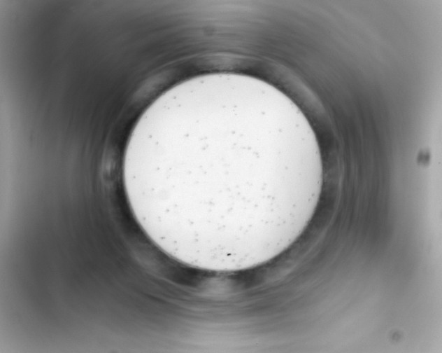 X0000103130119200809191950