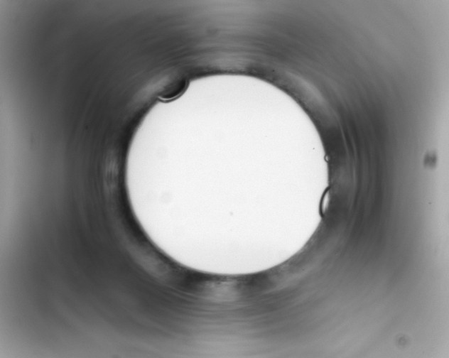 X0000103130120200809191950