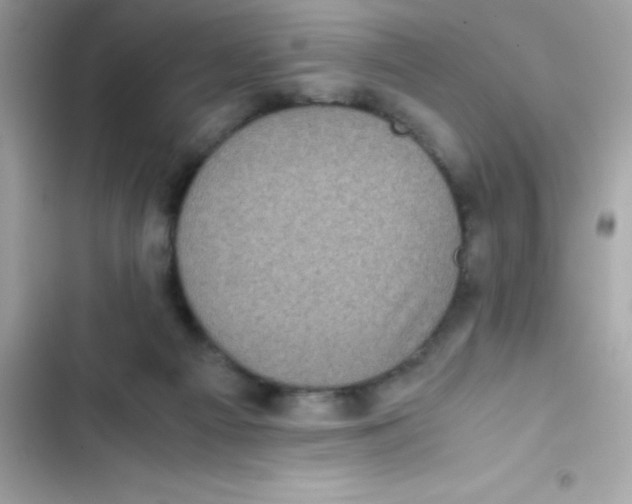 X0000103130121200809191950