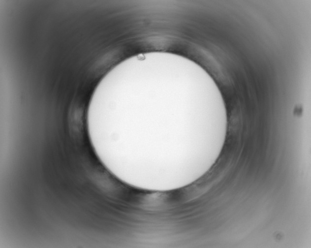 X0000103130122200809191950