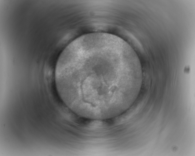 X0000103130123200809191950