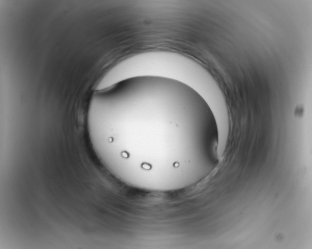 X0000103130124200809191950