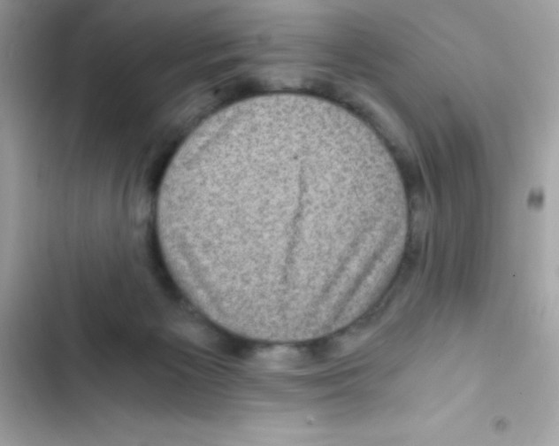 X0000103130125200809191950