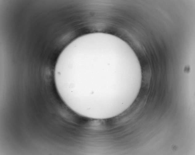 X0000103130126200809191950