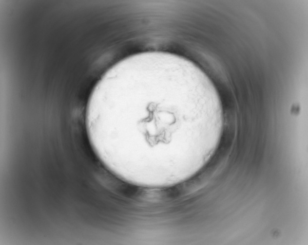 X0000103130127200809191950