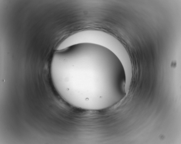 X0000103130128200809191950