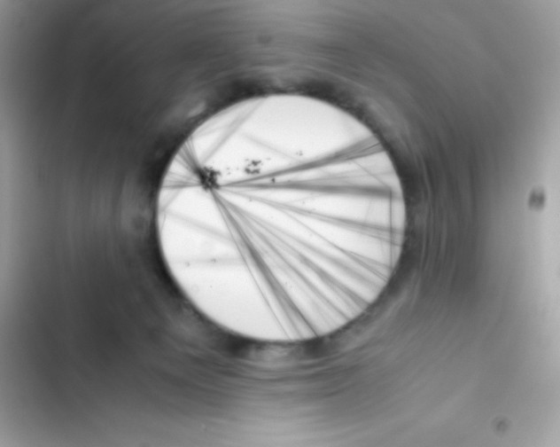 X0000103130129200809191950