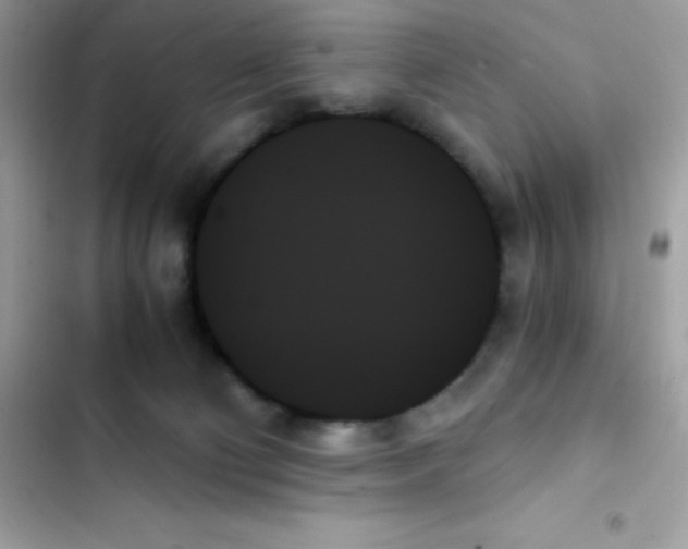 X0000103130130200809191950