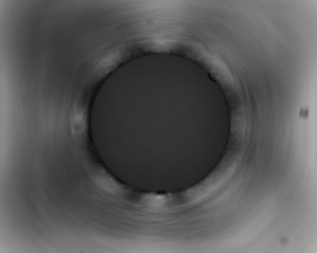X0000103130131200809191950