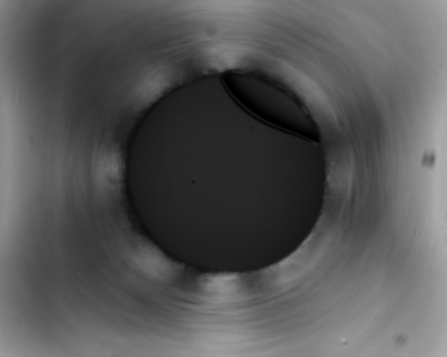 X0000103130132200809191950