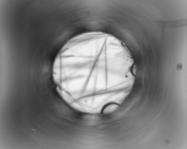 X0000103130133200809191950