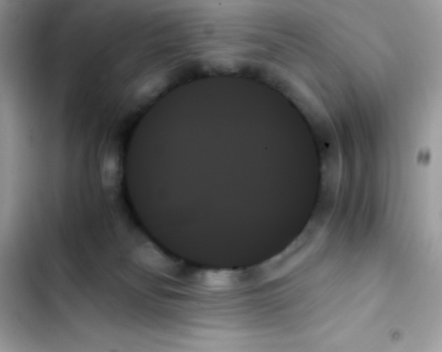 X0000103130134200809191950