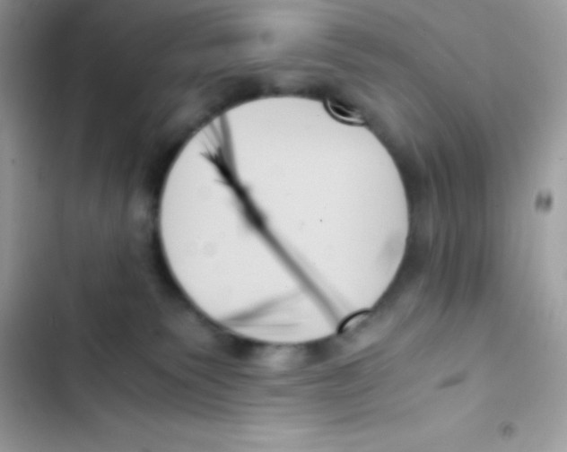 X0000103130135200809191950