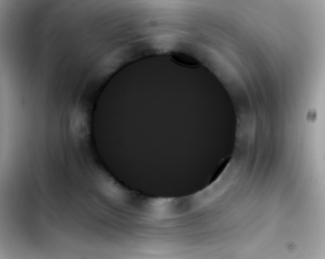 X0000103130136200809191950
